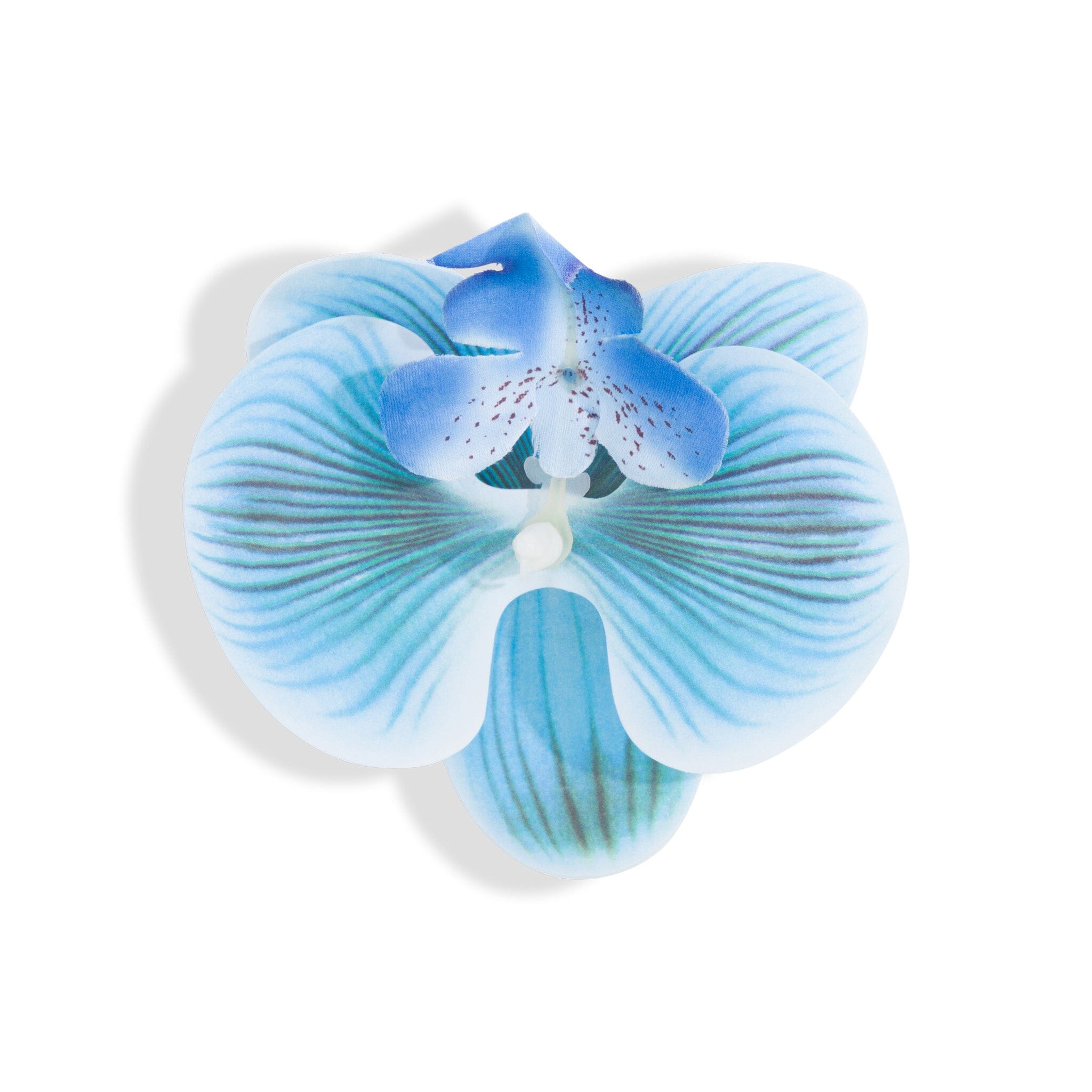 ORCHID FLOWER BLUE